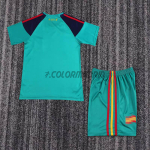 Camiseta De Portero España 2010 Retro Verde Niño Kit