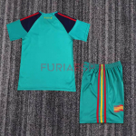 Camiseta De Portero España 2010 Retro Verde Niño Kit